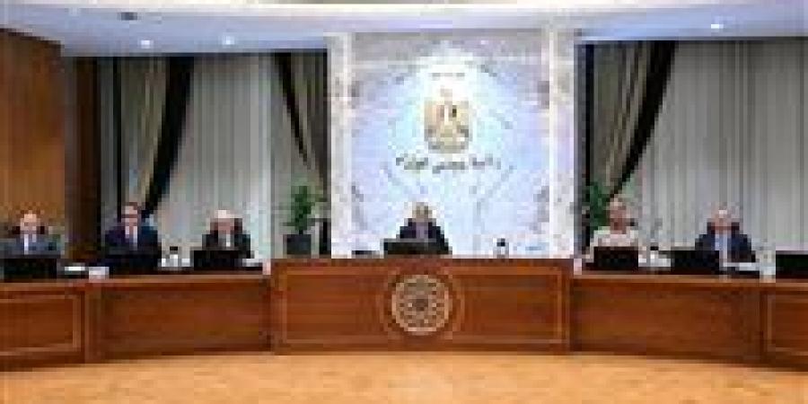 الوزراء: أي مصنع جديد هيُنشأ في مصر لازم يشتغل بنسب كبيرة من الطاقة الشمسية ومصادر الطاقة المتجددة