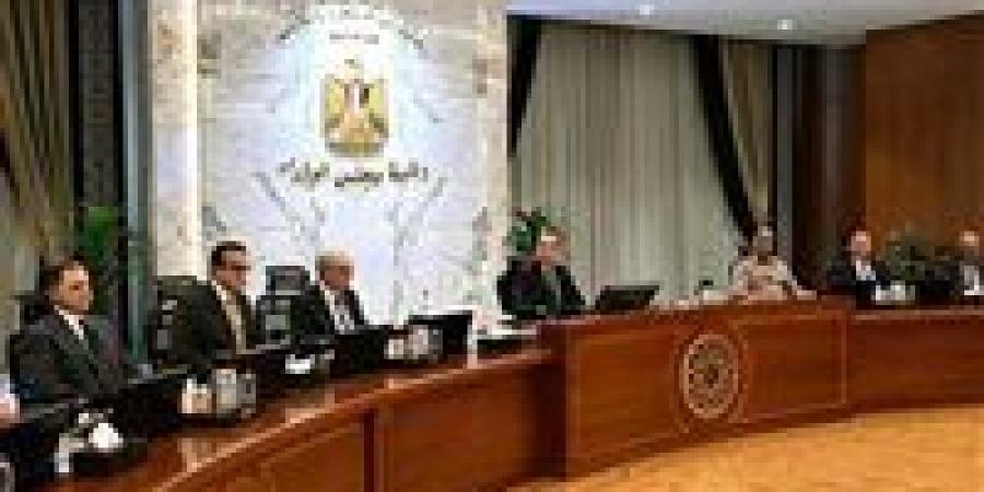 قرارات مجلس الوزراء اليوم الأربعاء