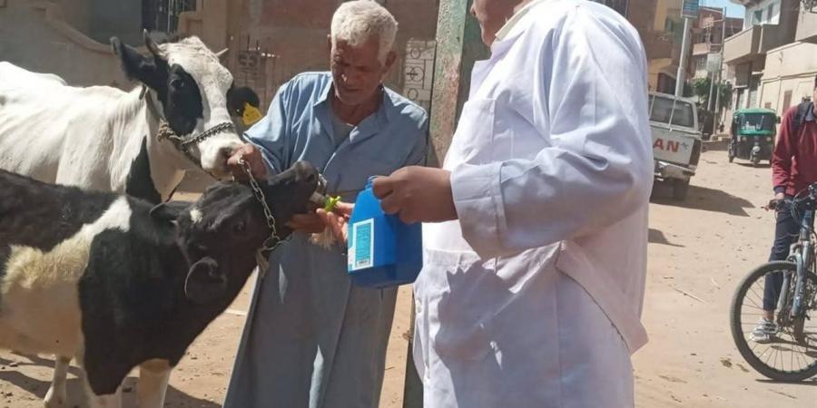 بيطري الغربية ينجح في علاج 1193 حيوانًا وطائرًا بقرية شرشابة