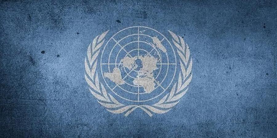 الأمم المتحدة: 3 مليارات شخص حول العالم يفتقرون إلى سكن لائق