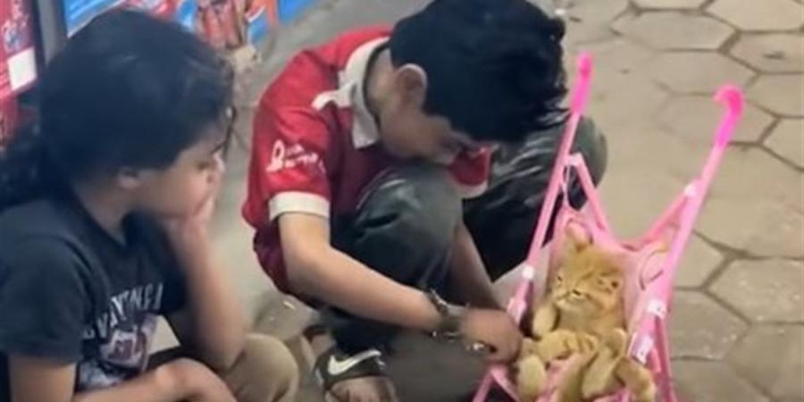 الرحمة في قلوبهم.. أطفال يضعون قطة صغيرة داخل عجلة الرُضع (فيديو)