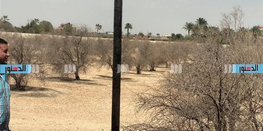 غلق مؤقت للطريق الصحراوي في نجع حمادي لمدة 3 أيام