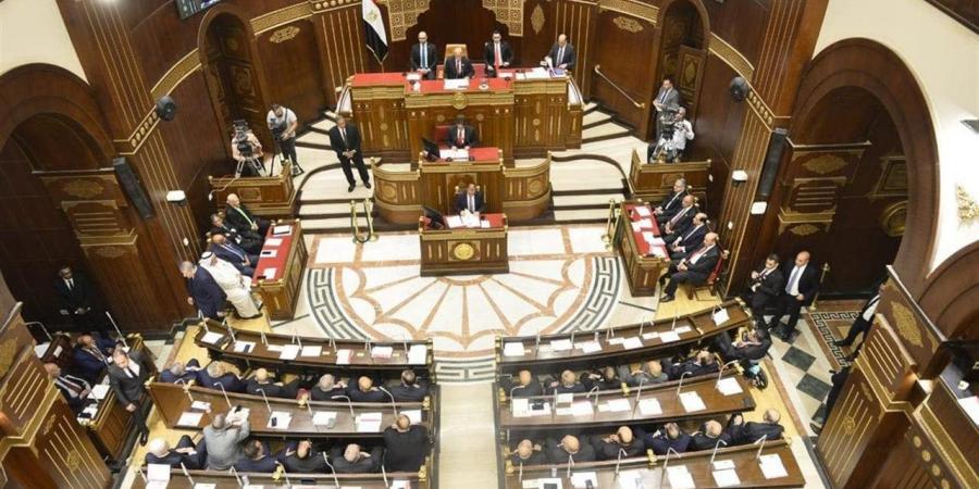 مجلس الشيوخ يناقش تطوير شبكات المياه والصرف الصحي بالبساتين ودار السلام