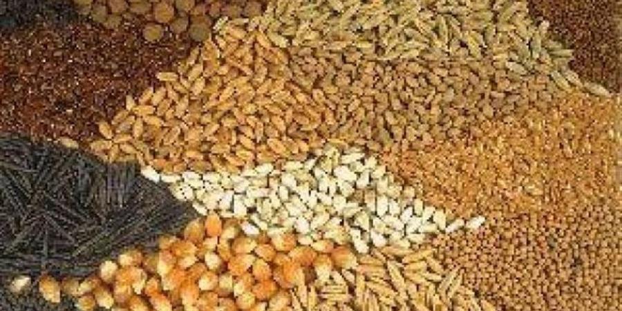 بشكل جماعي.. هبوط أسعار الحبوب عالميا