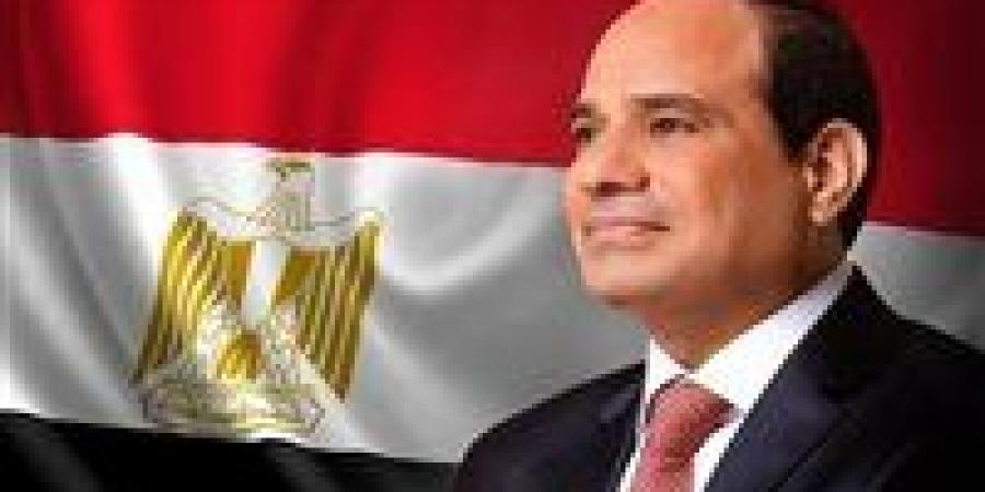 وكيل اتصالات النواب: لقاء الرئيس السيسي مع نظيره الإماراتي يؤكد وحدة الموقف العربي