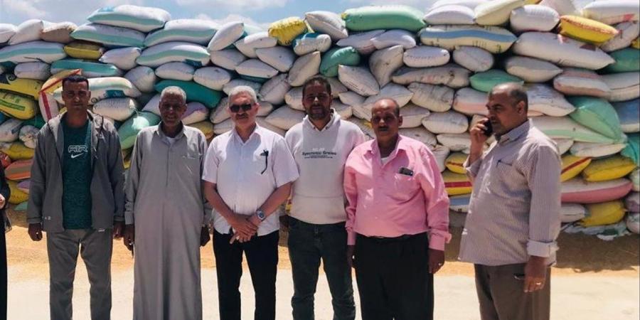الشرقية تواصل تعزيز مخزون القمح.. توريد أكثر من 344 ألف طن ومتابعة ميدانية مكثفة لمراكز التجميع