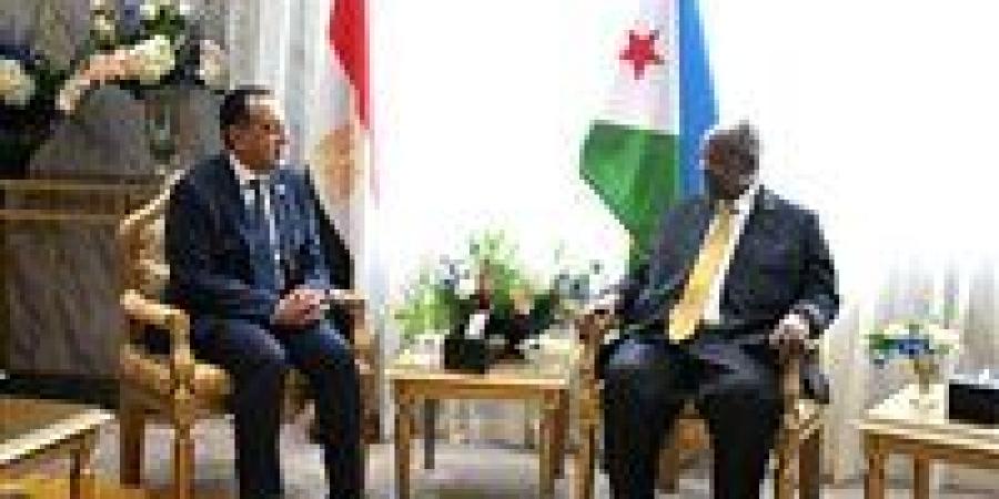 الرئيس الجيبوتي يستقبل الدكتور مصطفى مدبولي رئيس الوزراء