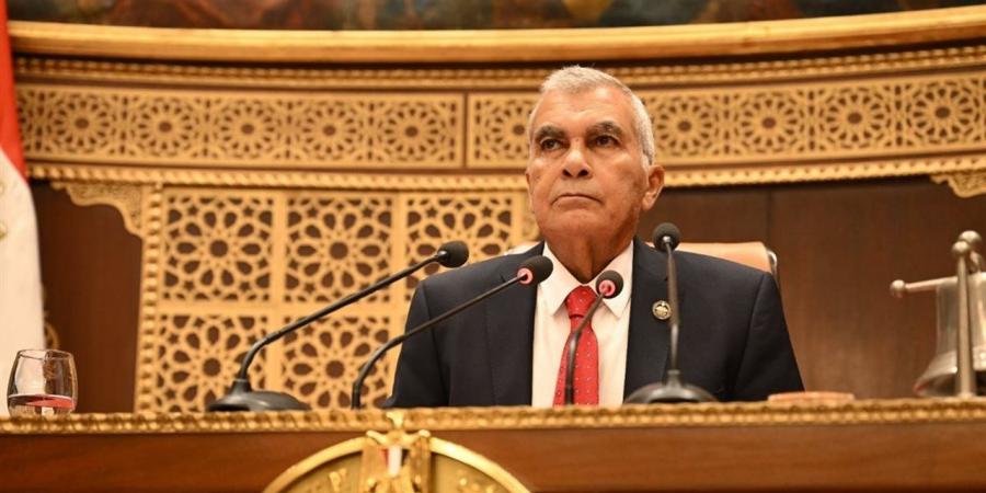 اليوم.. مجلس الشيوخ يناقش ملف تطوير الطيران المدني