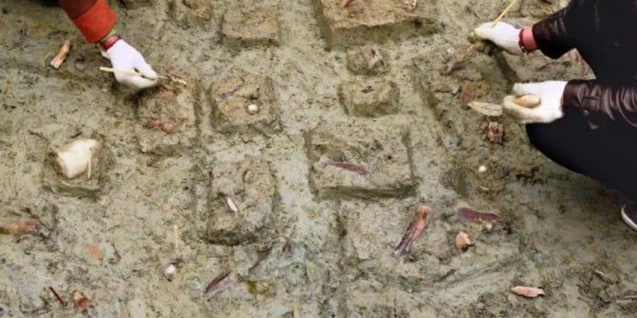 أدوات جزارة عمرها 146 ألف عام فى الصين.. تكشف عن براعة العصر الجليدى