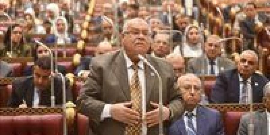 ناجي الشهابي: تطوير المطارات ومصر للطيران ركيزة لزيادة النقد الأجنبي ودعم الاقتصاد الوطني