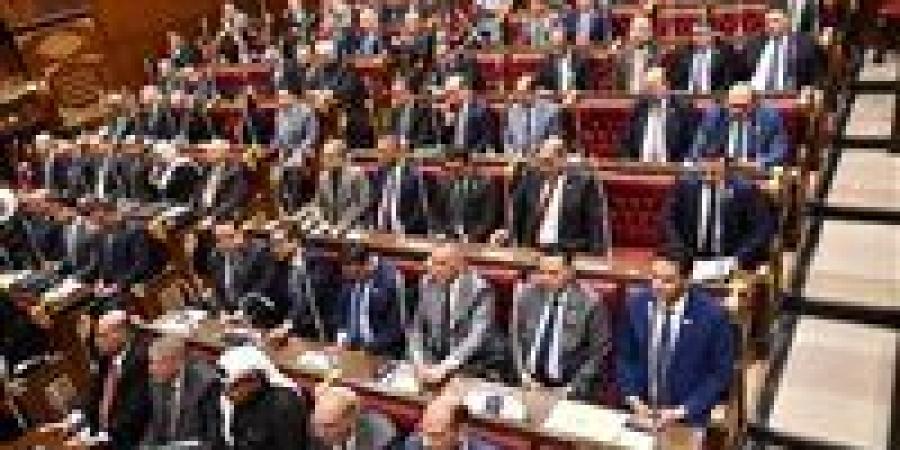 النائبة هبة شاروبيم تستعرض طلبها امام الشيوخ لاستيضاح سياسة الحكومة بشأن تطوير المطارات المصرية ومدى جاهزيتها