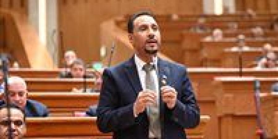 جرجس لاوندي: كلمة السيسي في نيروبي أكدت أن أفريقيا تمتلك حقها الكامل في التنمية وصنع القرار