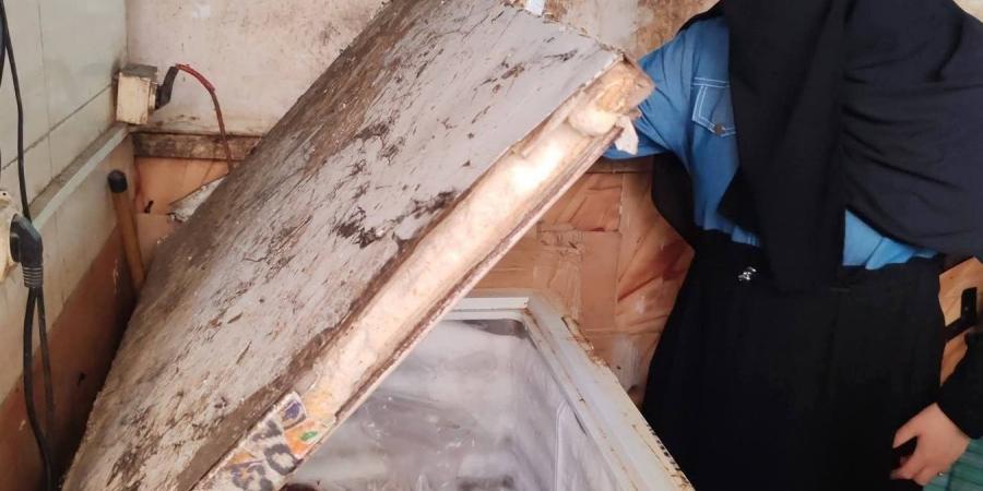 حملات مكبرة بسوقي الروضة والعصر ببورسعيد تضبط لحومًا فاسدة ودواجن محقونة بالمياه