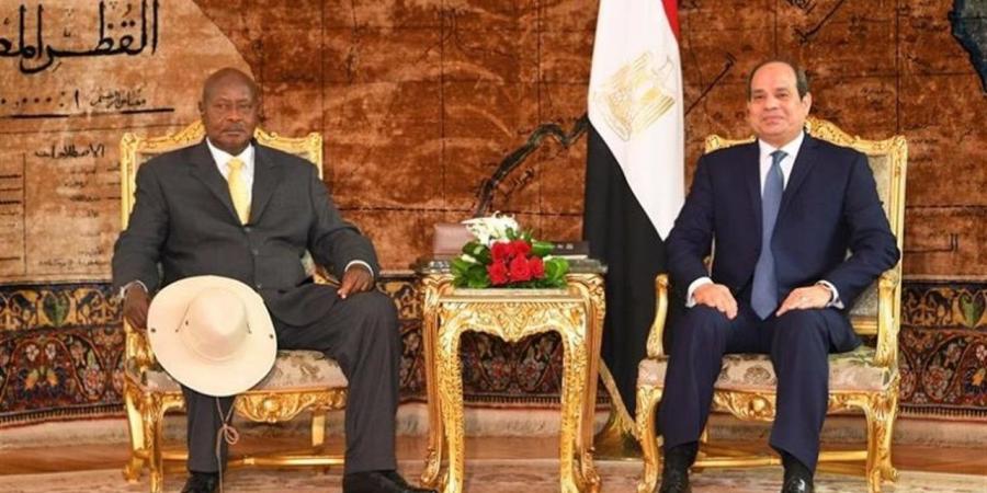 خبيرة: مصر ترسخ وجودها التنموي في إفريقيا
