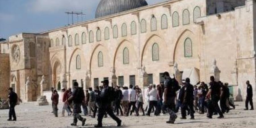 "بن غفير" يرفع علم الاحتلال خلال تزعمه اقتحام المسجد الأقصى المبارك
