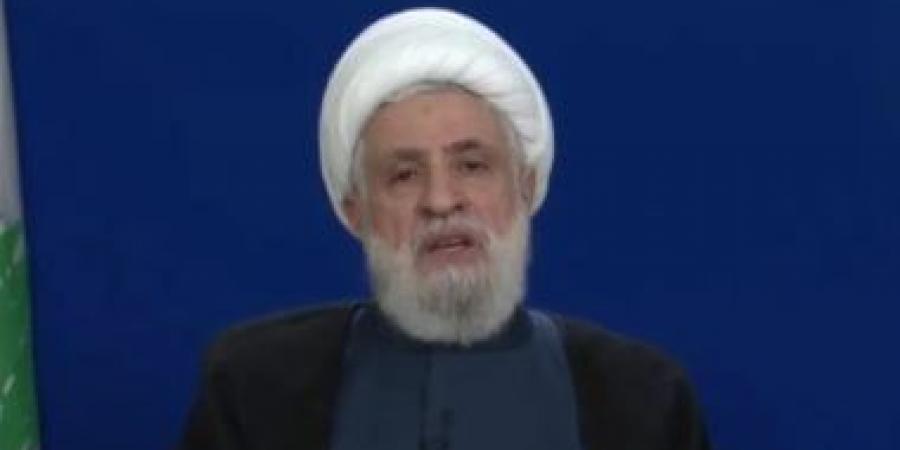 نعيم قاسم يؤكد أن لبنان يواجه عدوا إسرائيليا يطمح للتوسع