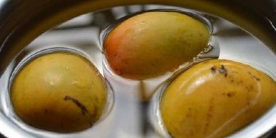 المركز الزراعي السعودي يستعرض التقنيات المستدامة بمهرجان حصاد المانجو