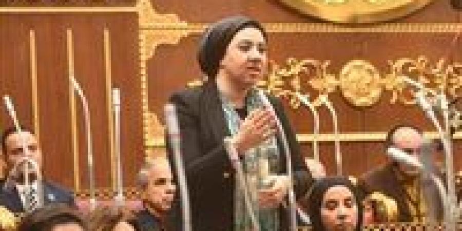 لحماية حقوق المبدعين في العصر الرقمي.. أميرة صابر توضح تفاصيل مقترح الفنان ياسر جلال “حق الأداء العلني”