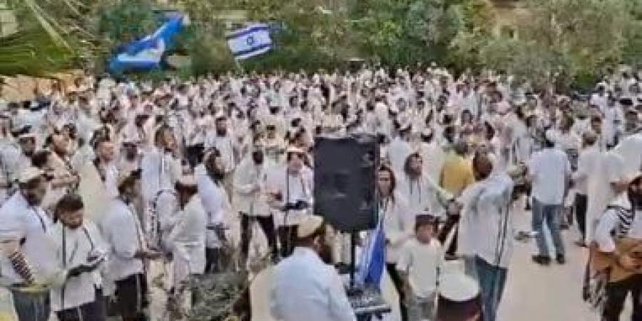 لأول مرة منذ احتلال الأقصى.. مستوطنون يؤدون صلوات عند باب الأسباط.. فيديو