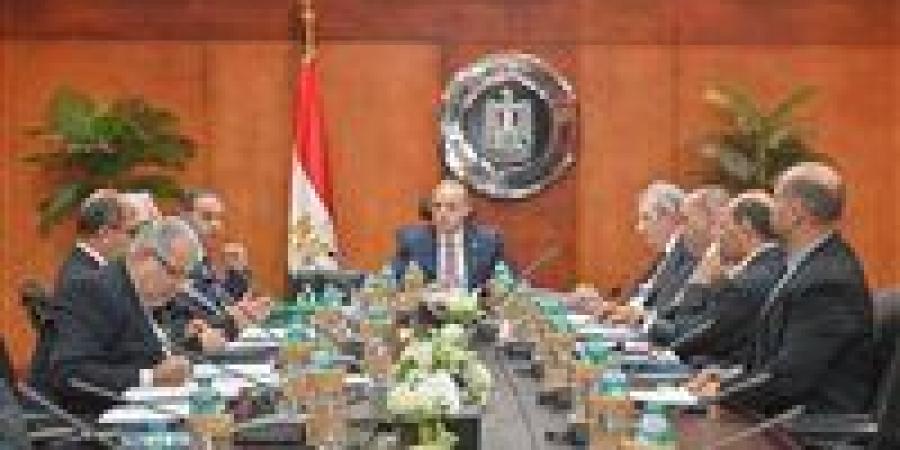 رئيس الوزراء يصدر قرارين بإعادة تشكيل اللجنة الدائمة لمعايير المحاسبة والمراجعة برئاسة وزير الاستثمار.. ومنحه صلاحيات التحديث
