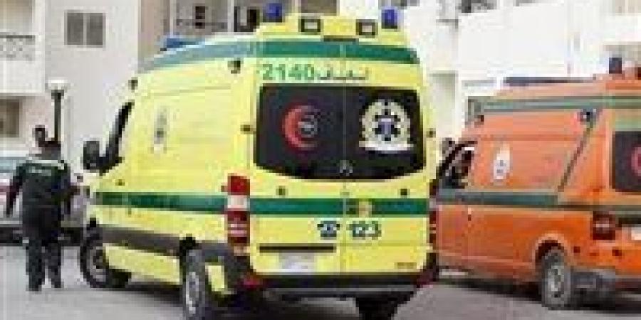 ضبط سيدة قتلت زوجة نجلها بـ " ايد مقشة " بالغربية