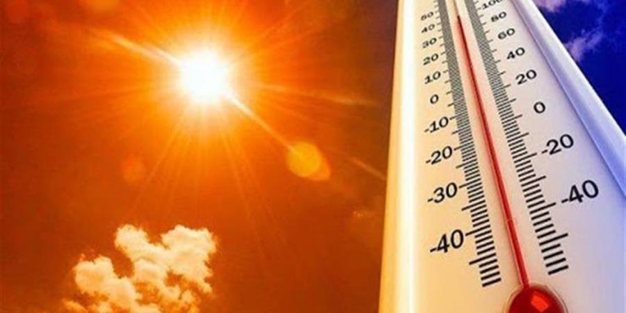 لماذا يفقد الجسم شهيته في الطقس الحار؟