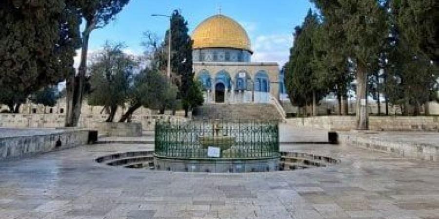 محافظة القدس تُحذّر من مخطط إسرائيلي للاستيلاء على عقارات لصالح التوسع الاستيطاني