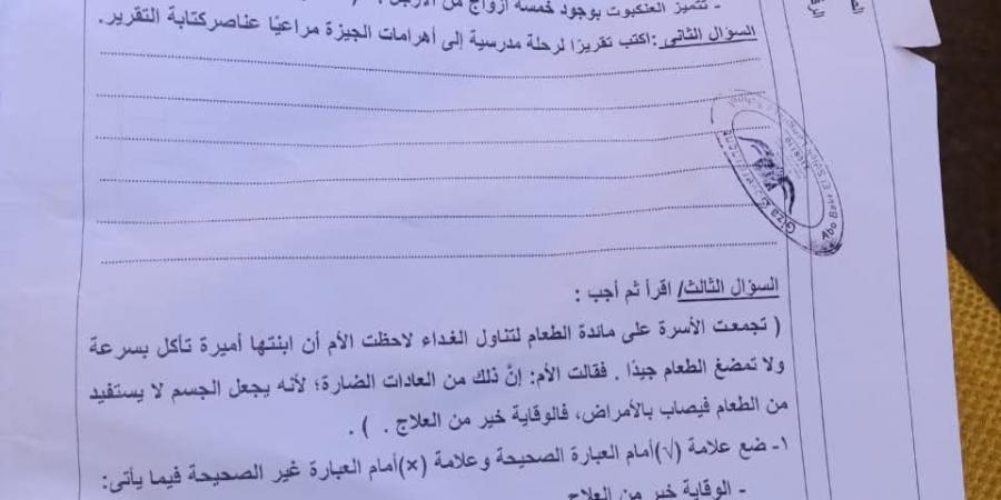 امتحان اللغة العربية للصف الرابع الابتدائي 2026 نهاية العام