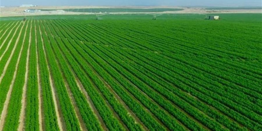 «الدلتا الجديدة».. قصة أكبر مشروع زراعى وتنموى فى تاريخ مصر