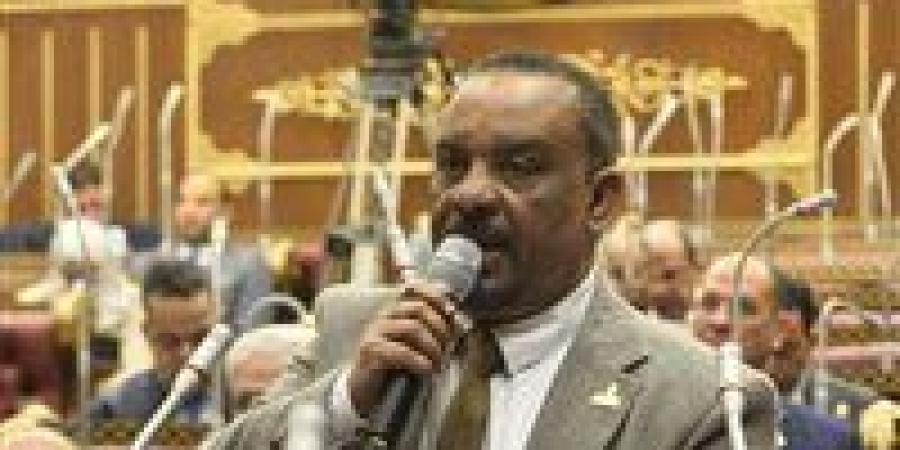 النائب أحمد حافظ يقترح إنشاء بورصة زراعية وطنية بعد افتتاح مشروع الدلتا الجديدة.. ويؤكد: ما يحدث ملحمة إنتاجية تعزز أمن مصر الغذائي