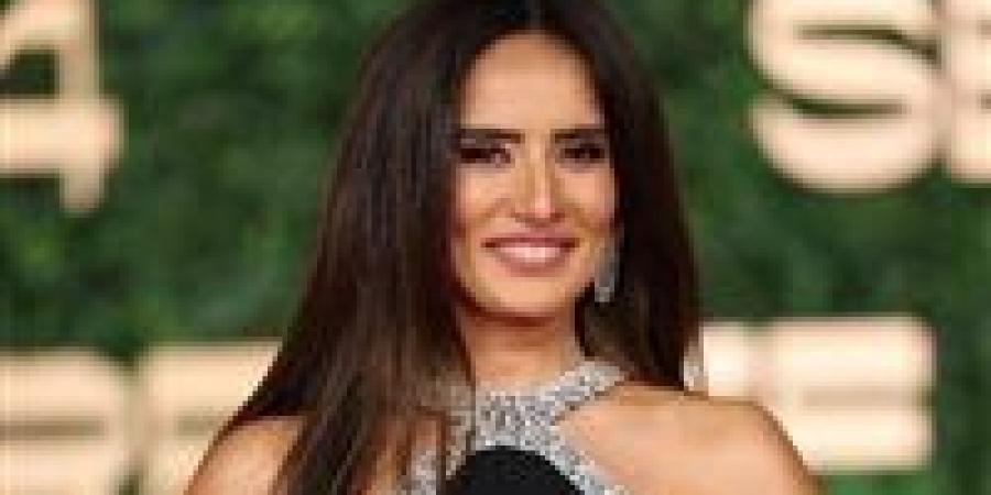 الحكم على المتهمين في مطاردة نجلي الفنانة زينة بـ كلب.. بعد قليل