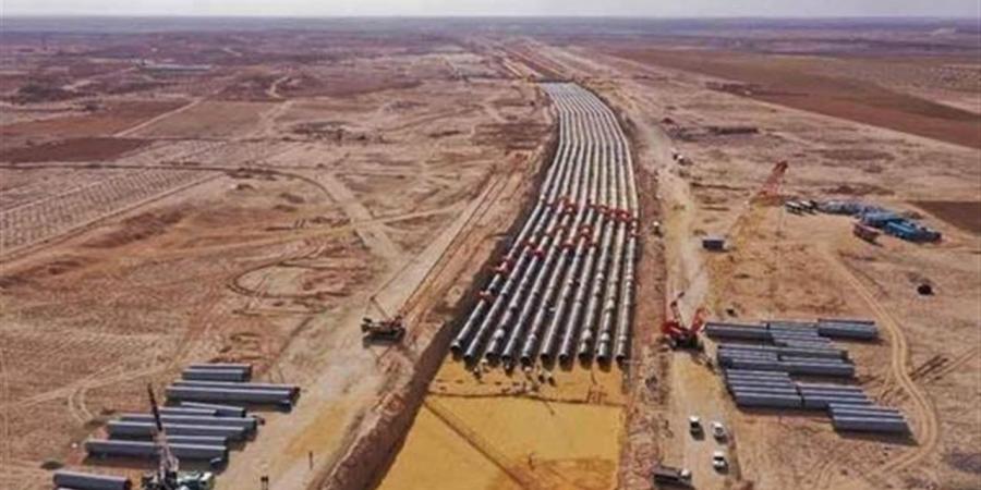 أمين شباب الشيوخ: رسائل الرئيس بـ"الدلتا الجديدة" تعكس إرادة سياسية صلبة لبناء مجتمعات تنموية مستدامة