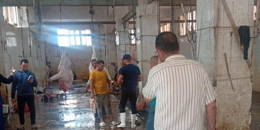 استعدادًا لعيد الأضحى.. رئيس مدينة الشهداء يتفقد جاهزية المجزر لاستقبال أضاحي المواطنين