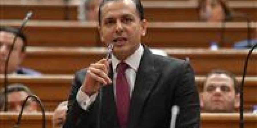 بحضور عقيلة صالح.. النائب أحمد عبدالجواد: وحدة ليبيا خط أحمر.. ومصر لن تنحاز إلا للشعب الليبي