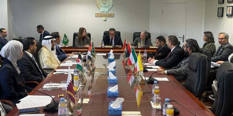 مصر تؤكد دورها الإنساني تجاه فلسطين وتدعو لتكاتف عربي في مواجهة التحديات الصحية