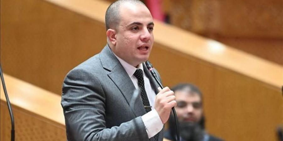نائب: مصر لم تعد تملك رفاهية تحويل القروض والمنح الدولية إلى «حبر على ورق»