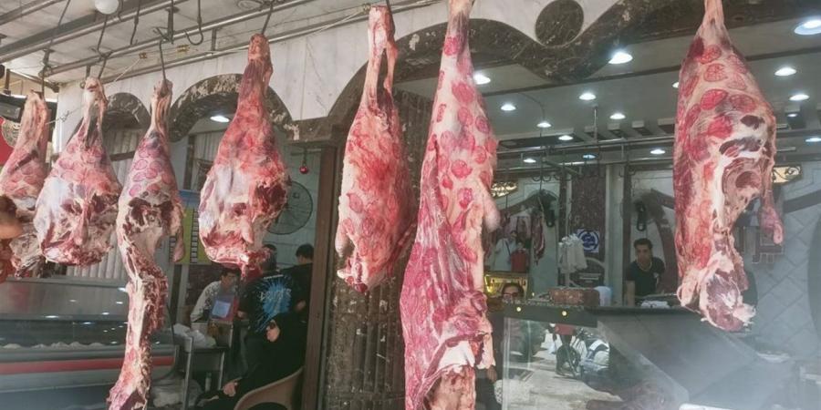 حملات مكثفة لتموين القاهرة قبل عيد الأضحى ورقابة مشددة على الأسواق لضبط المخالفات