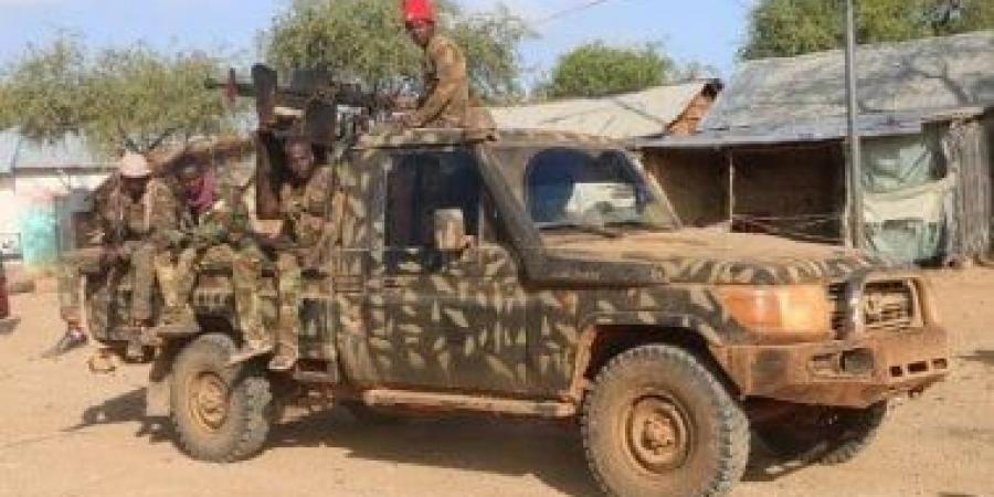 الصومال: مقتل 6 عناصر من حركة الشباب جراء ضربة جوية في شبيلي السفلى