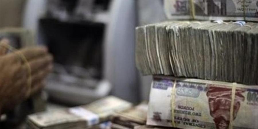 كيف يحافظ القطاع المصرفي على مدخرات القطاع العائلي