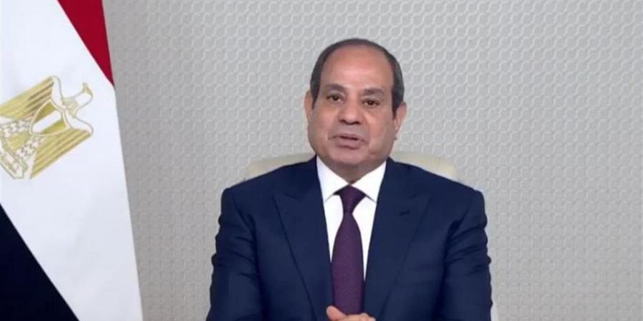 نائبة: مشاركة الرئيس السيسي في الاتصالات الدولية تؤكد الثقة العالمية في مصر