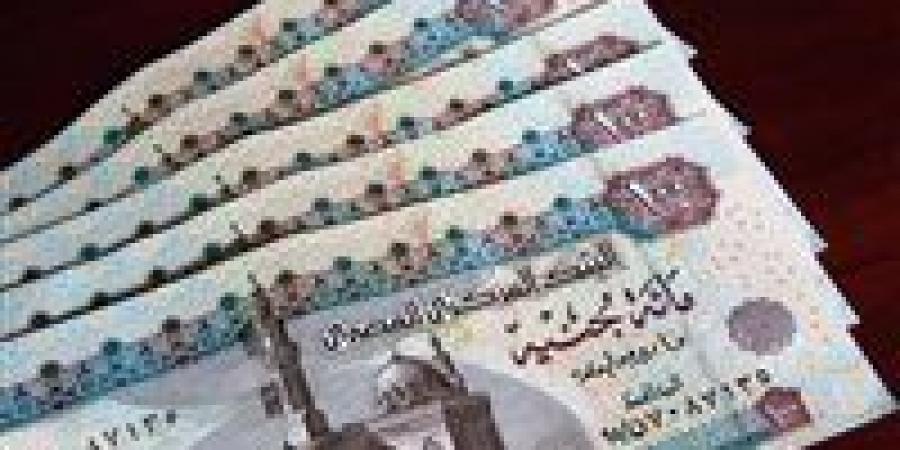 صرف منحة العمالة غير المنتظمة 2026.. الشروط وطريقة التسجيل وموعد الصرف