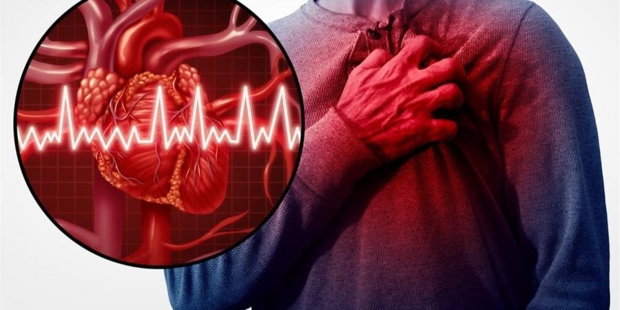 إنتاج "قلب مصغر" يفتح آفاق علاجات بيولوجية لاضطرابات القلب