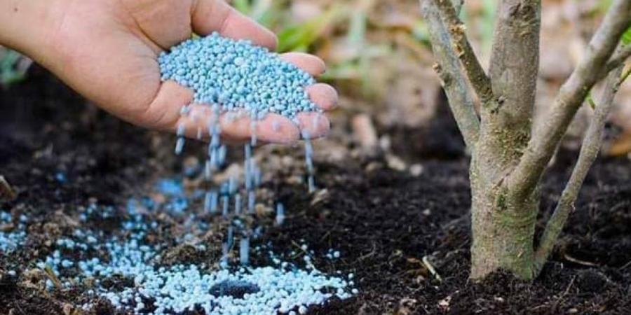 عاجل.. حرب إيران تضرب الأمن الغذائي بالسودان.. ومخاوف من تراجع الإنتاج الزراعي 40%