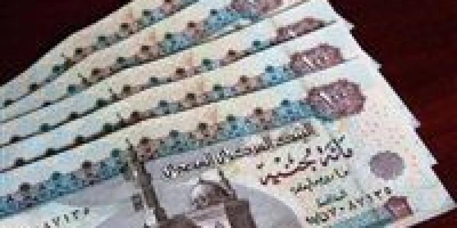 المعاش الإضافي في قانون التأمينات الجديد.. الشروط وطريقة الحساب وفقًا للقانون
