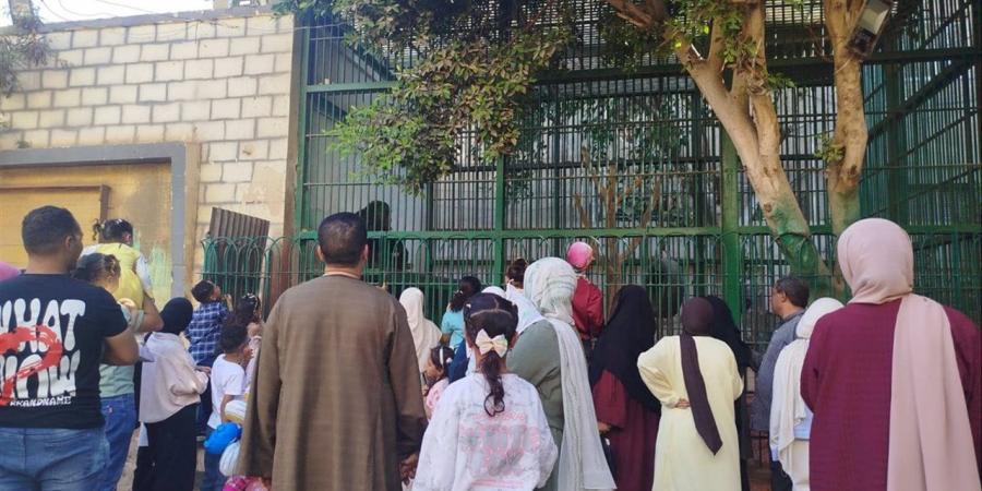 إقبال كثيف على حديقة حيوان الفيوم في ثالث أيام عيد الأضحى
