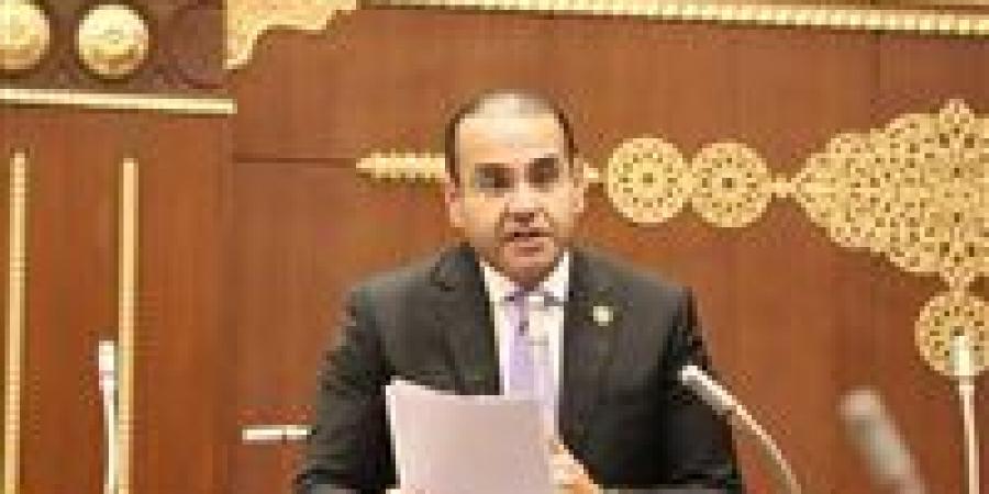 قصة نجاح مصرية.. النائب محمد المنزلاوي: العلمين الجديدة تؤكد قدرة الدولة على صناعة المستقبل