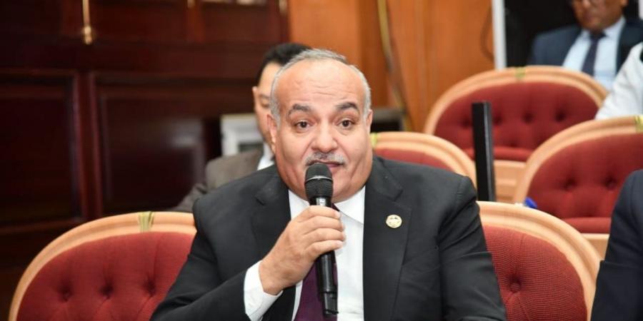 نائب: العلمين الجديدة نموذج عالمي للمدن الذكية ومقصد جاذب للاستثمارات