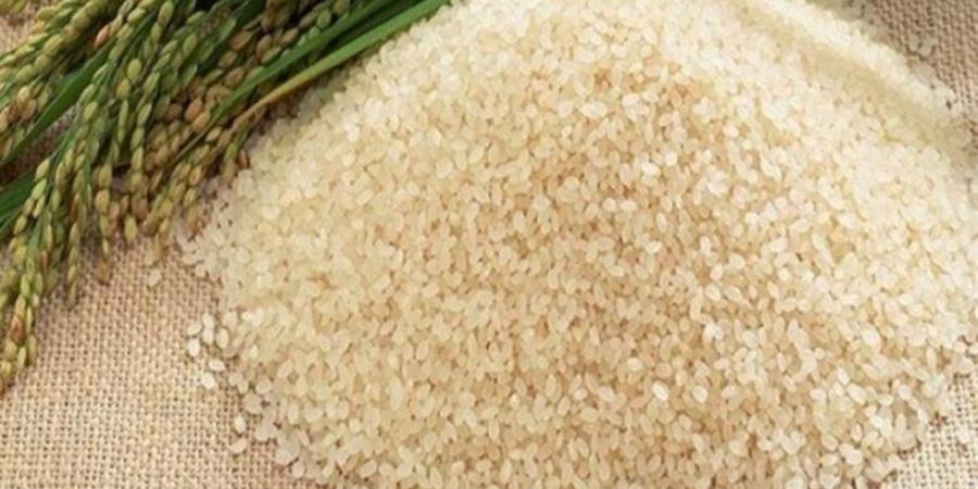 أسعار طن الأرز الشعير اليوم الخميس 4 من يونيو 2026