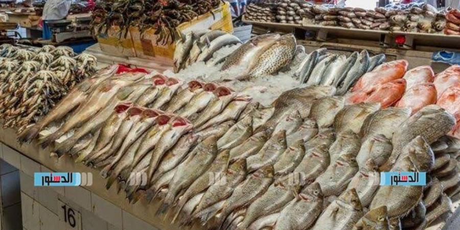 أسعار الأسماك في مطروح اليوم الجمعة 5 يونيو 2026