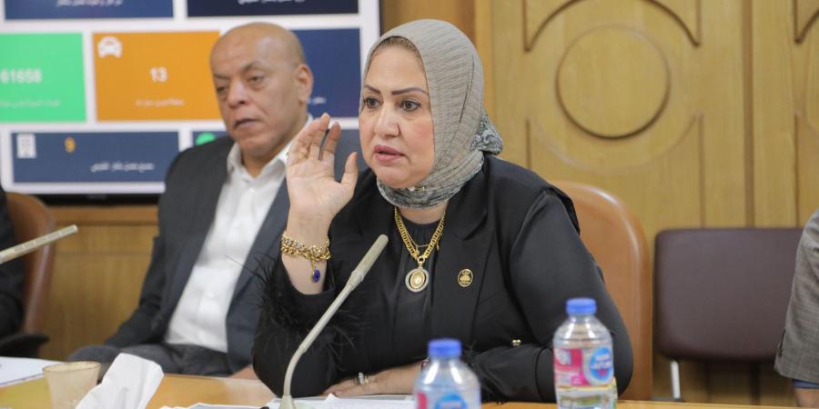 سحر صدقي تشيد باستجابة محافظ قنا لمطالب المواطنين وتكشف تطورات ملف الغاز